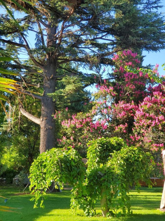Quinta Ugarte * Lujan de Cuyo